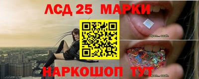 прущие грибы Гусиноозёрск