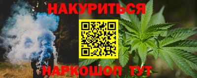 прущие грибы Гусиноозёрск