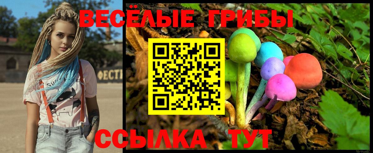 Липецк  Псилоцибиновые грибы прущие грибы  Вход с VPN 